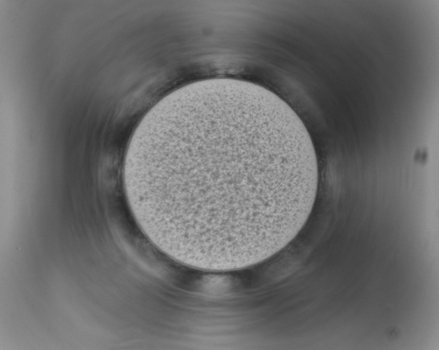 X0000113940218200910231951