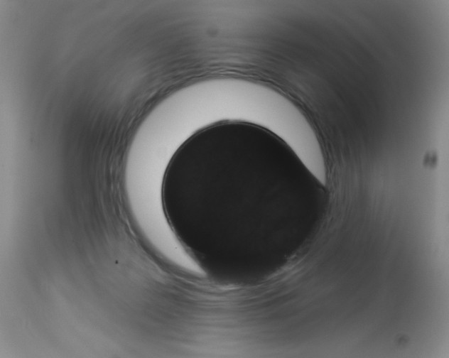 X0000113940219200910231951