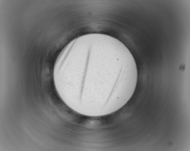 X0000113940220200910231951