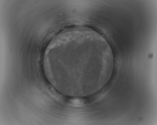 X0000113940221200910231951