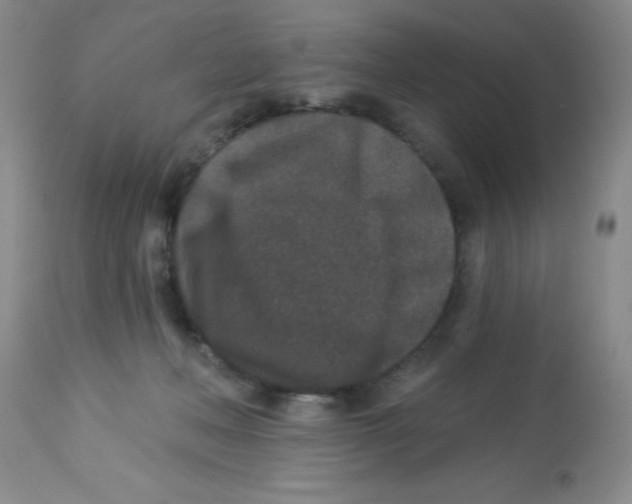 X0000113940222200910231951