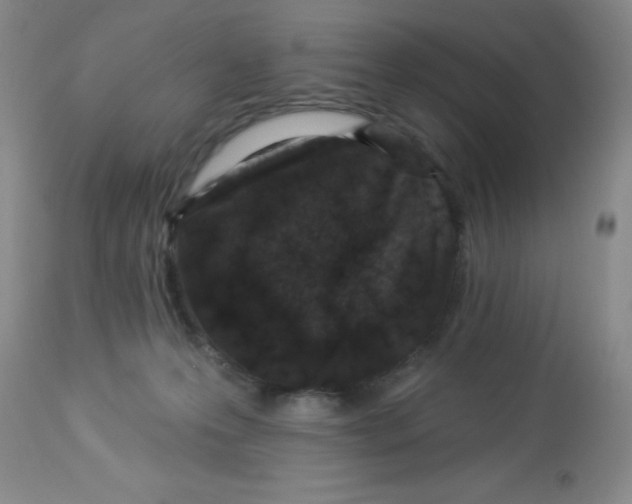 X0000113940223200910231951
