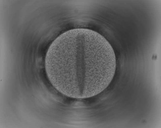 X0000113940224200910231951