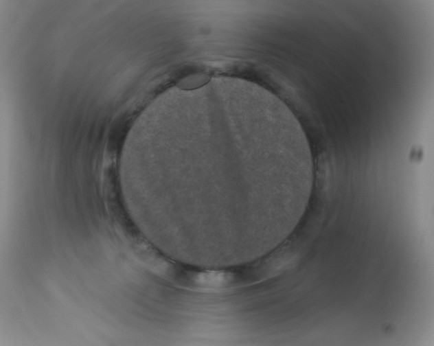 X0000113940225200910231951