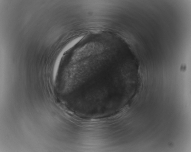 X0000113940227200910231951