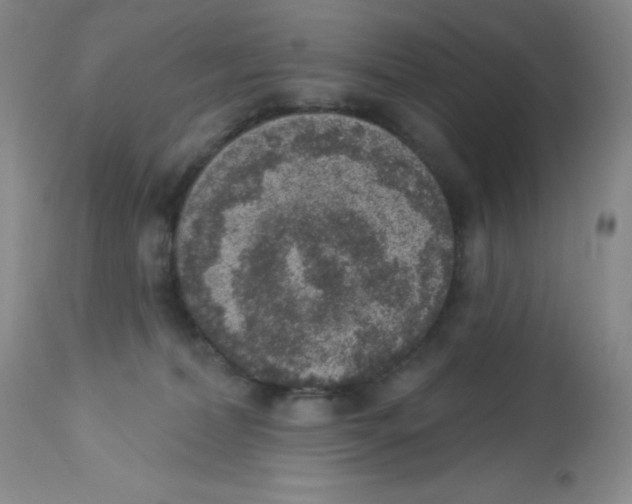 X0000113940228200910231951