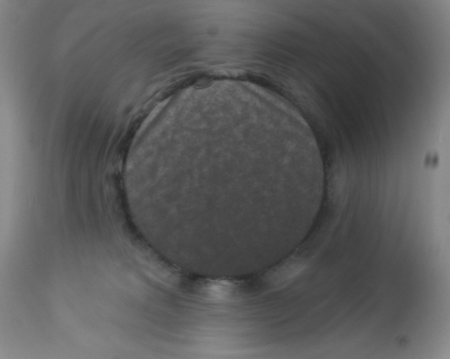 X0000113940229200910231951