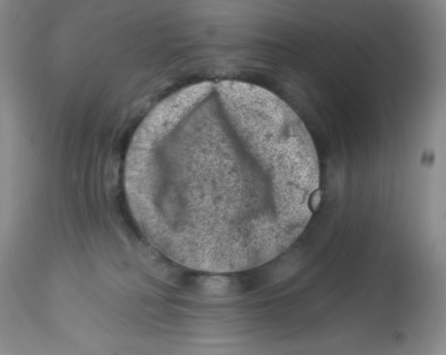 X0000113940230200910231951