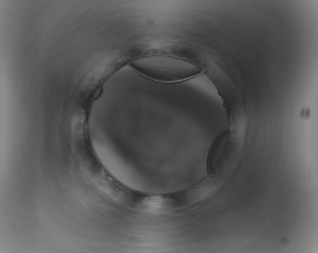 X0000113940231200910231951