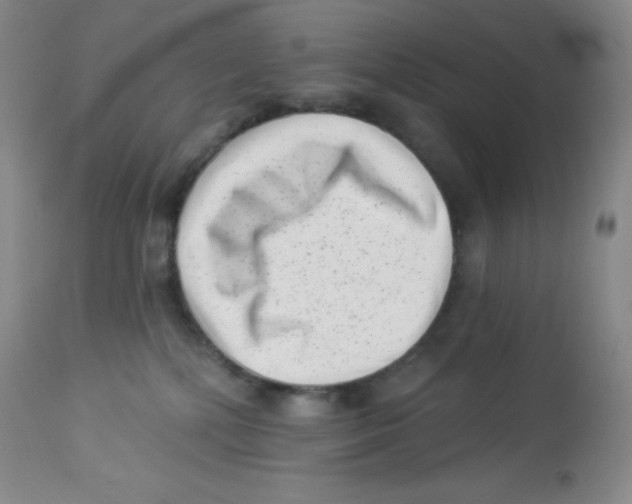 X0000113940232200910231951