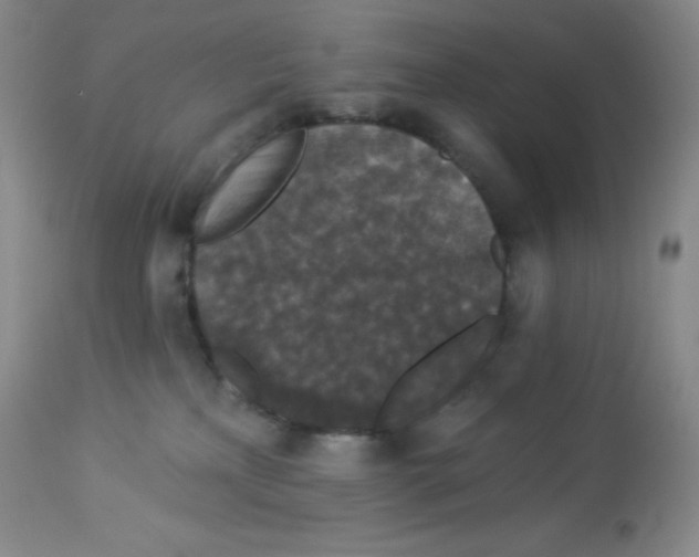 X0000113940233200910231951