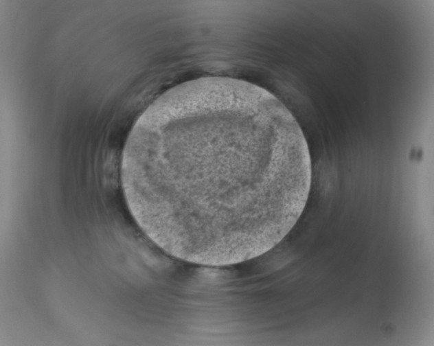 X0000113940234200910231951