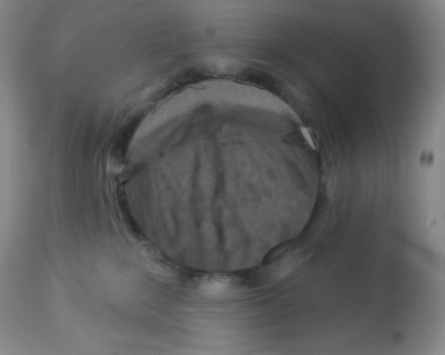 X0000113940235200910231951