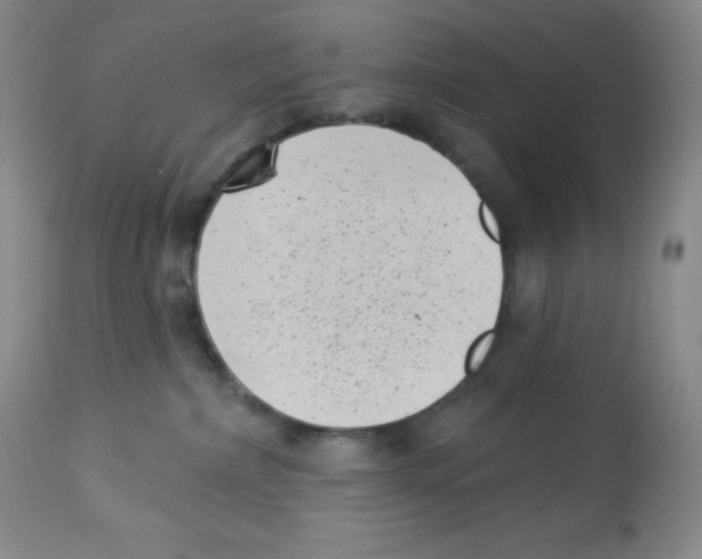 X0000113940236200910231951