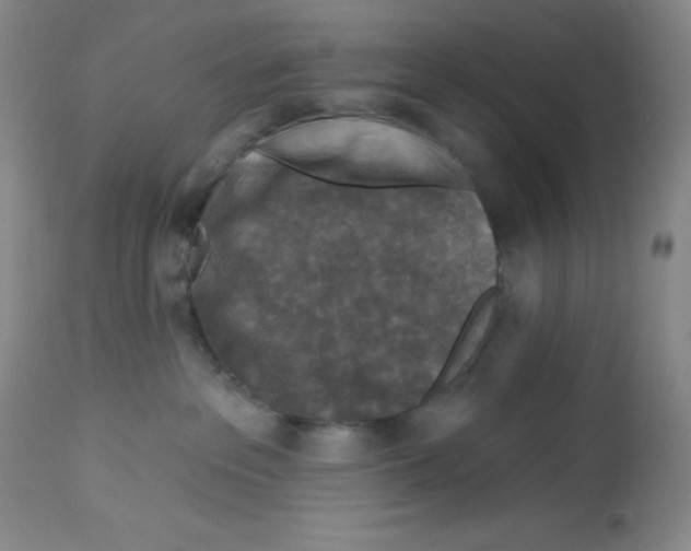 X0000113940237200910231951
