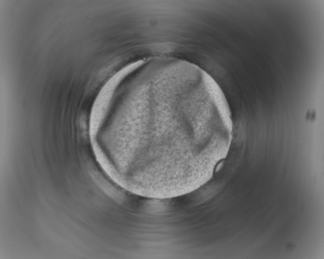 X0000113940238200910231951