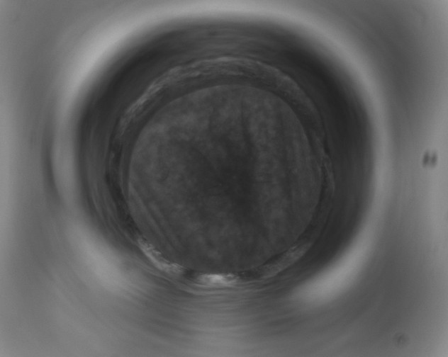 X0000113940239200910231951