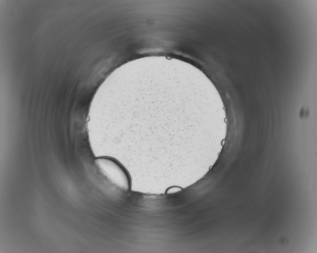X0000113940240200910231951