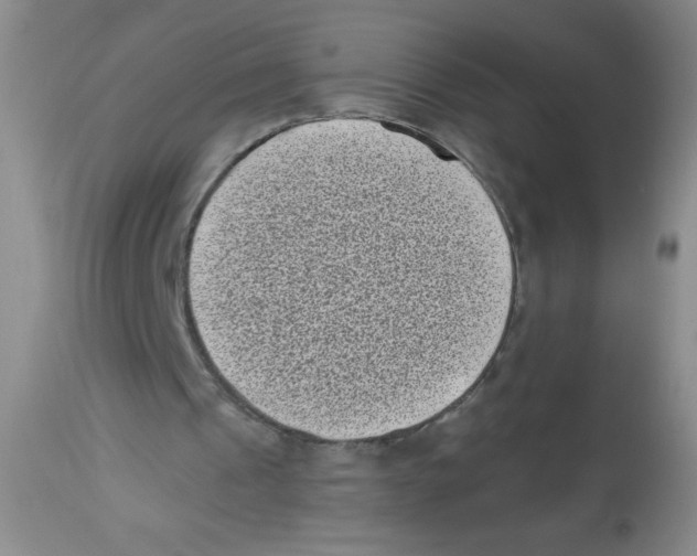 X0000113940241200910231950