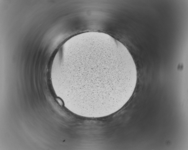 X0000113940242200910231950
