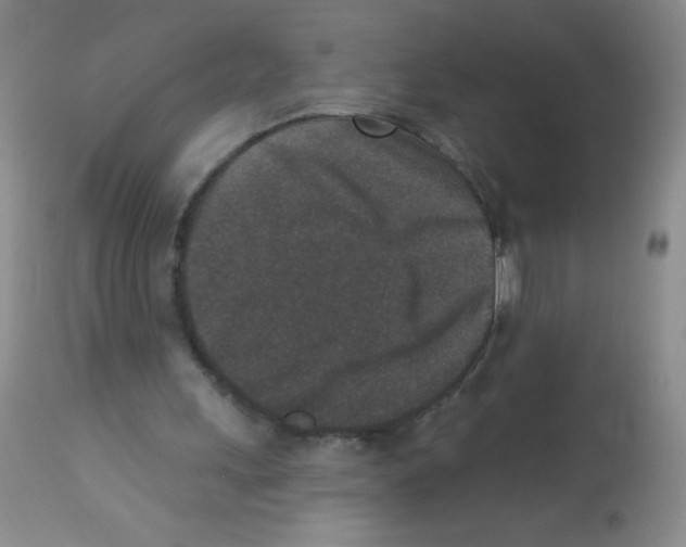 X0000113940243200910231950