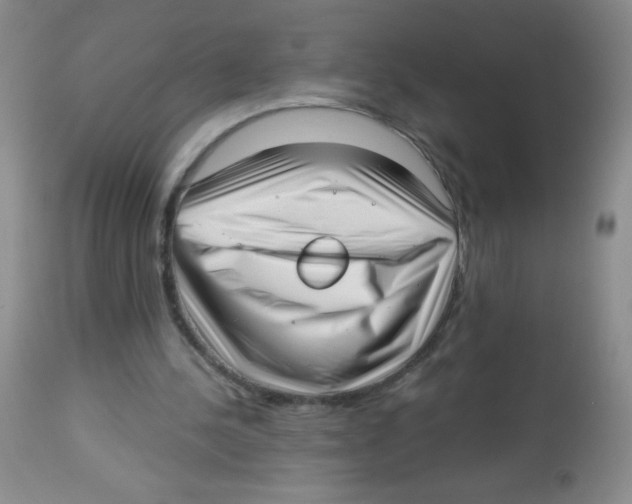 X0000113940244200910231950