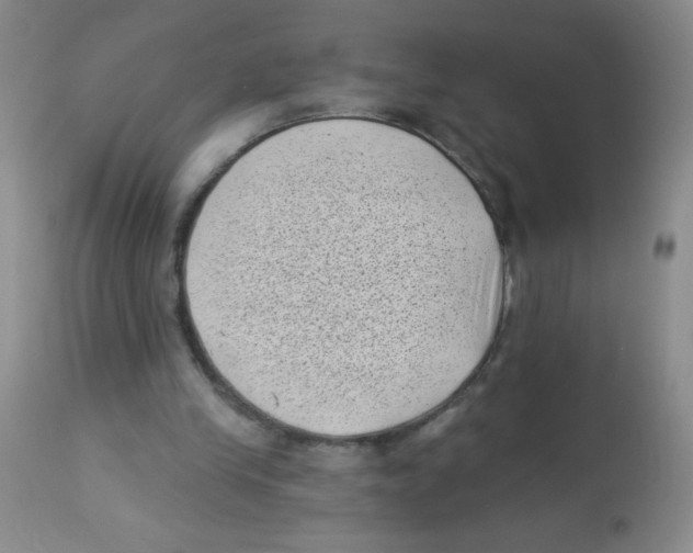 X0000113940245200910231950