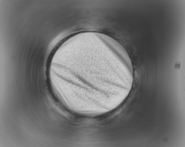 X0000113940246200910231950