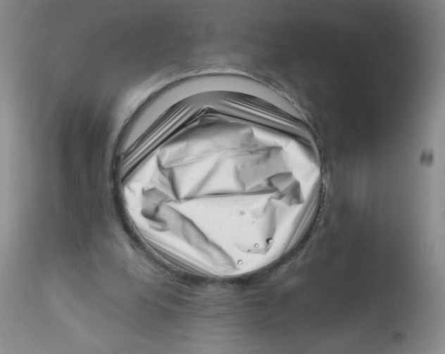 X0000113940248200910231950