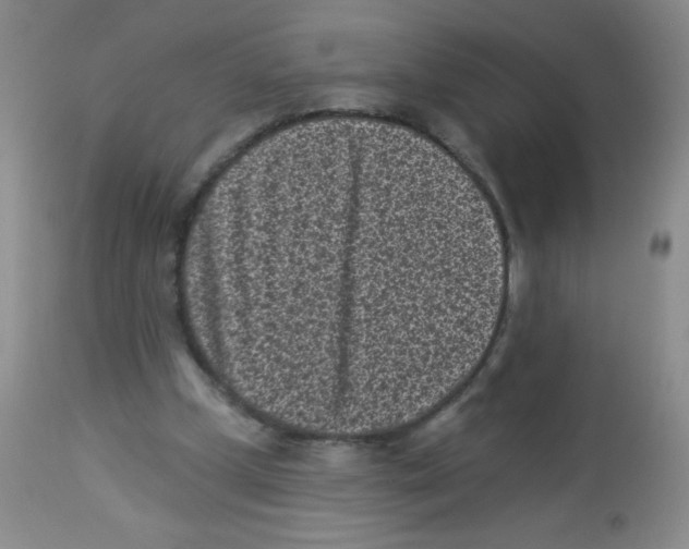 X0000113940249200910231950