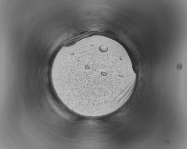 X0000113940250200910231950