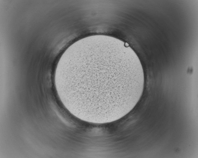 X0000113940251200910231950