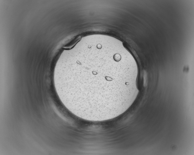 X0000113940252200910231950