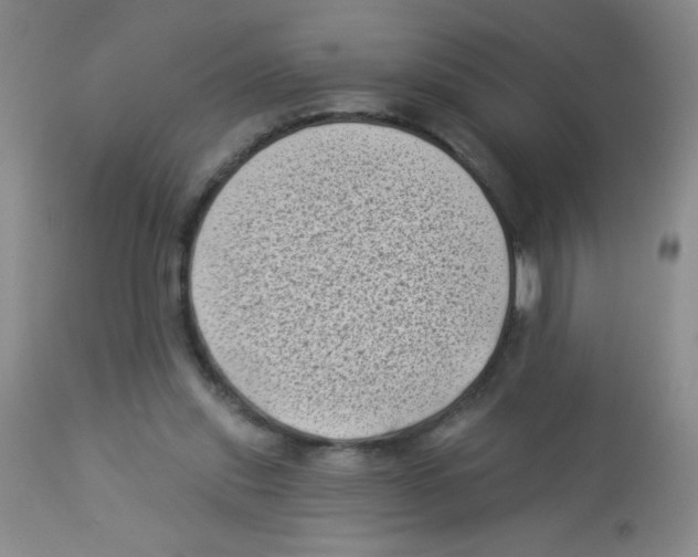 X0000113940253200910231950