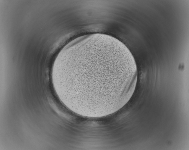X0000113940254200910231950