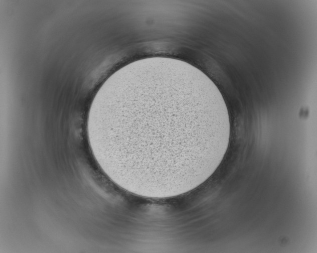 X0000113940255200910231950
