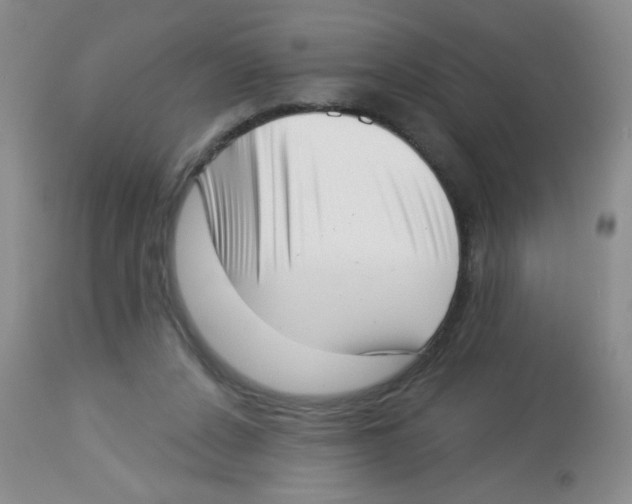 X0000113940256200910231950