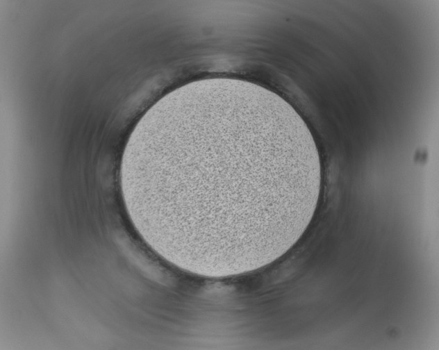 X0000113940257200910231950