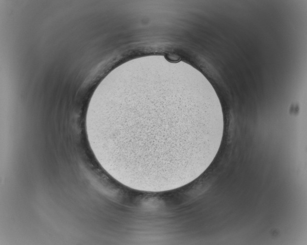 X0000113940258200910231950