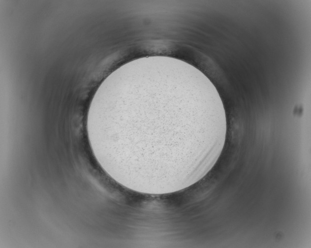 X0000113940259200910231950