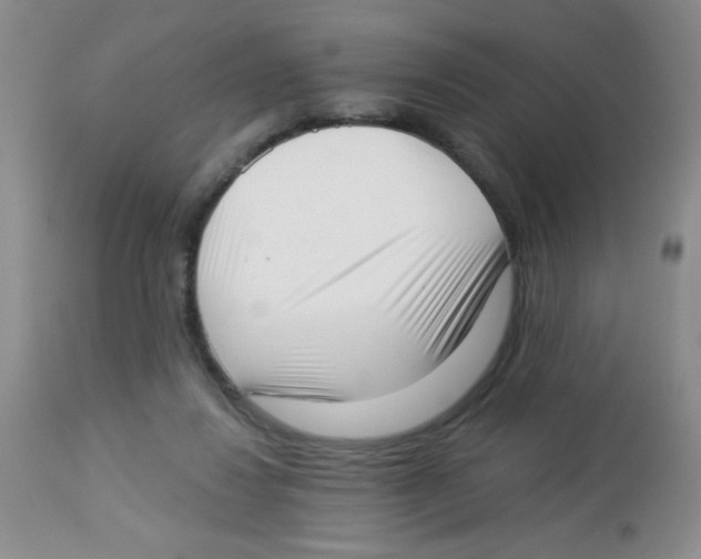 X0000113940260200910231950