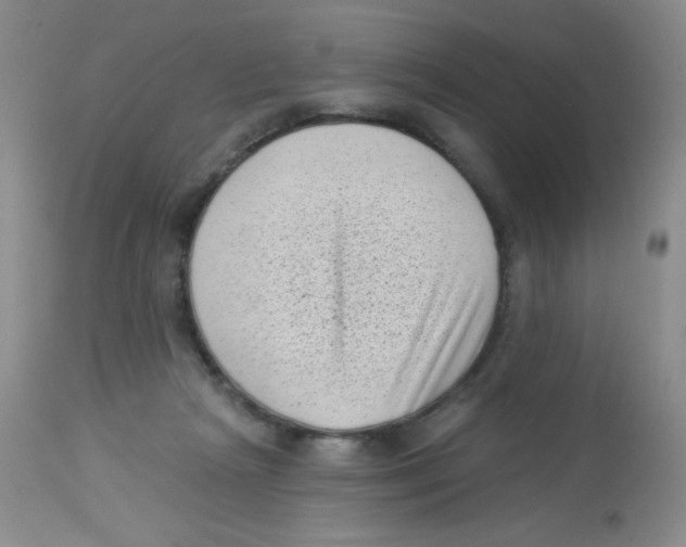X0000113940265200910231950