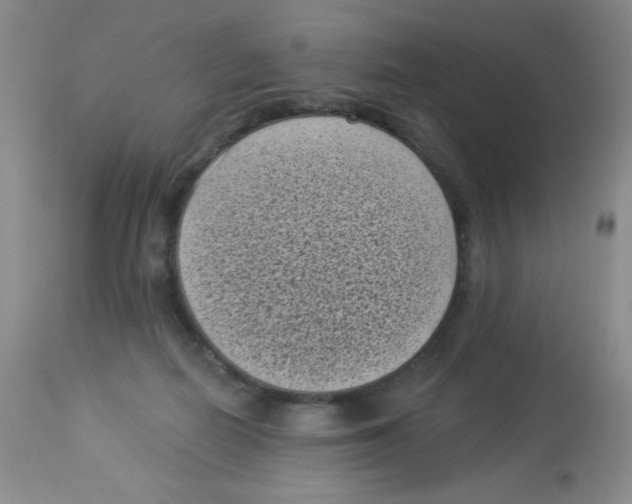 X0000113940266200910231950