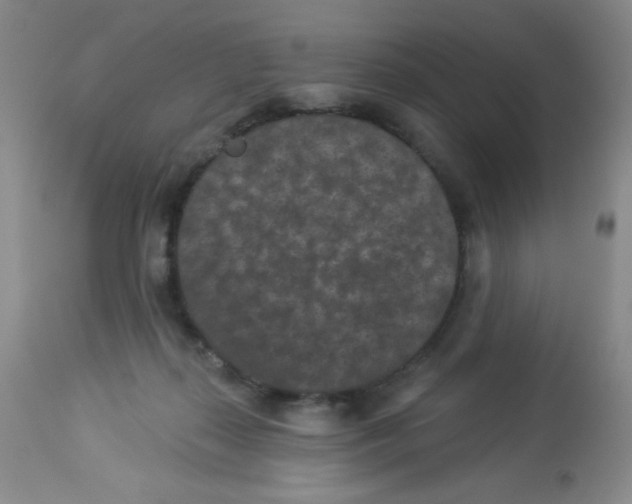 X0000113940267200910231950