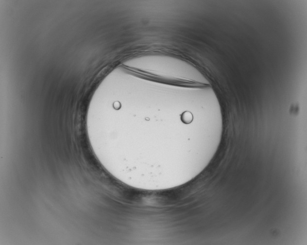 X0000113940268200910231950