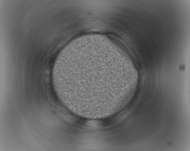 X0000113940269200910231950