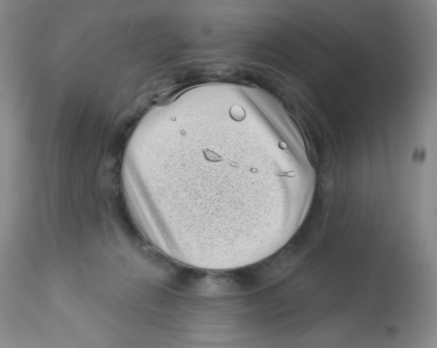 X0000113940270200910231950