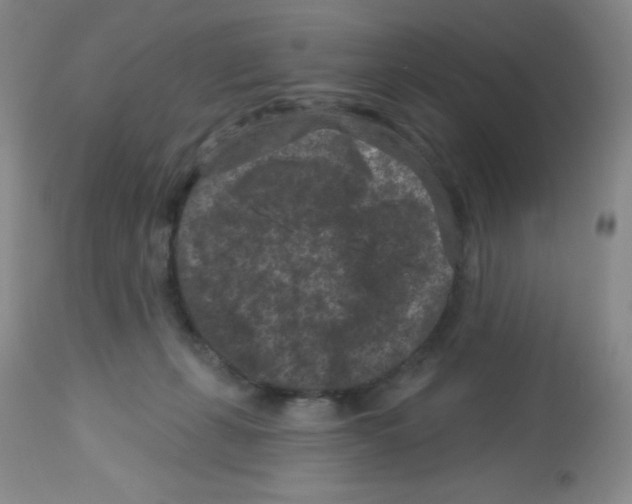 X0000113940271200910231950