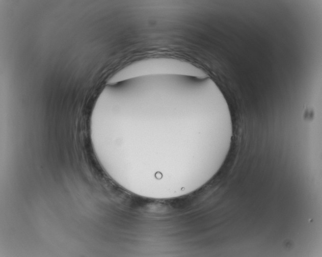 X0000113940272200910231950