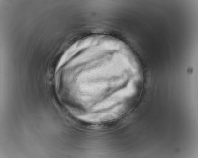 X0000113940273200910231950